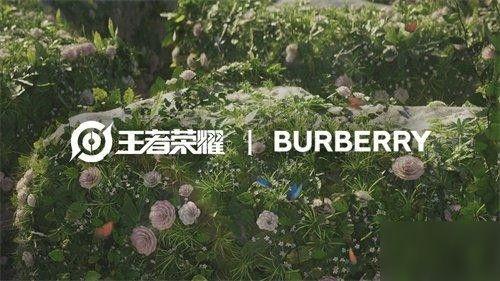 巴宝莉联名皮肤最新爆料,时尚与科技的完美融合