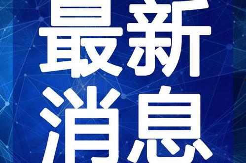 丹东饭店爆料视频最新版,揭露惊人内幕，真相令人震惊