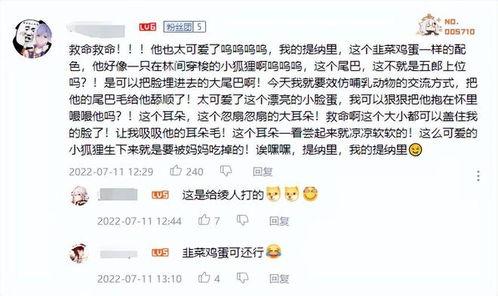 草神外网爆料视频大全最新,揭秘神秘力量与奇幻冒险之旅  第2张