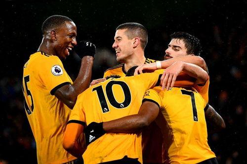 狼队替补爆料视频,幕后英雄的奋斗与牺牲  第3张